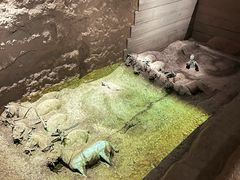 -秦始皇帝陵博物院(兵马俑)