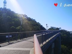 -金鸡山公园