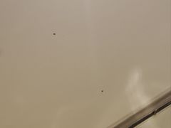 -天津君隆威斯汀酒店