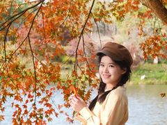 -田野绿世界