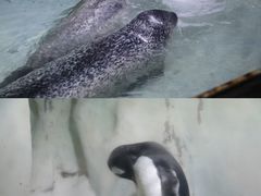 -南昌海洋公园