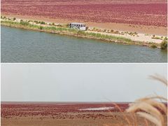 -孙子文化园