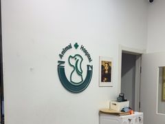 -中农国际动物医院24小时·猫科·骨科·急重症中心