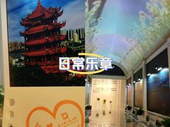 -武汉规划展示馆