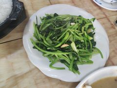 -煲来饱去冷水鱼