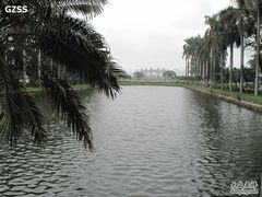 -中山大学学者灵芝(园南路店)