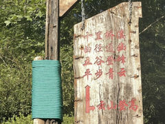 -雁南飞茶田景区
