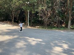 -东平国家森林公园