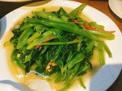 -三猫黑鱼花(南大店)