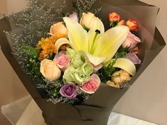 -南芳园