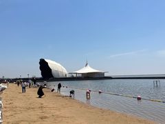 -碧海金沙