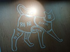 -MOCHA明星猫咖(田子坊店)