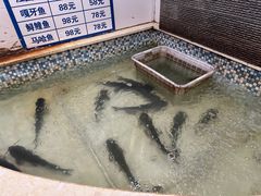 -锅老头铁锅炖•大锅蒸汽海鲜(韩乐坊店)