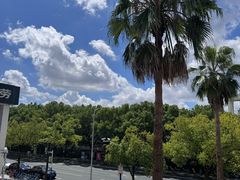 -小杨生煎(松江大学城店)