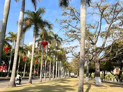 -厦门大学(思明校区)