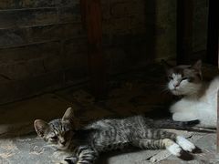-老屋咖啡