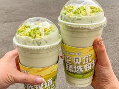 -茉酸奶(春熙路店)