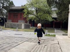 -北京国子监胡同