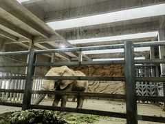 -武汉动物园