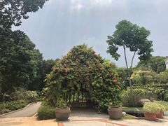 -吉隆坡雀鸟公园