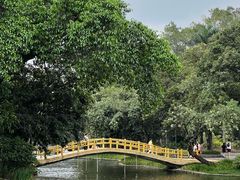 -晓港公园