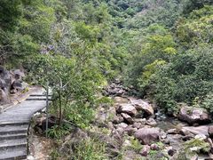 -广州白江湖森林公园