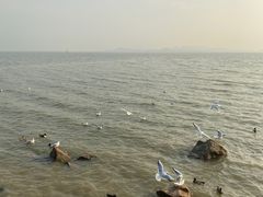 -深圳湾公园(南山区)