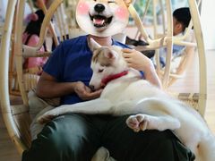 -Husky Go! 哈士奇体验馆·宠物咖啡厅狗咖