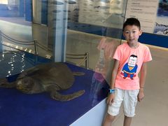 -上海海洋大学鱼文化博物馆(军工路校区)