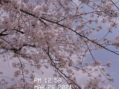 -上海辰山植物园
