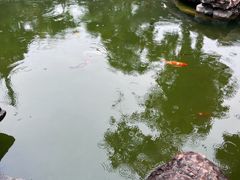 -吴作人艺术馆