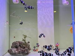 -金三角花鸟鱼综合市场-地面停车场