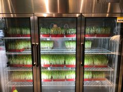 -五星桥原切肥牛火锅·30年专注好牛肉(湖塘店)