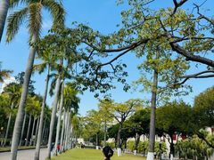-厦门大学(思明校区)