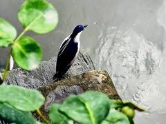 -成都市活水公园