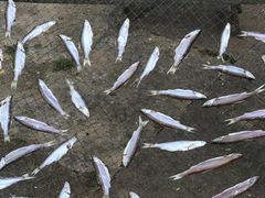 -东钱湖旅游度假区