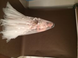 106影像婚纱摄影机构-费拉摄影(天廊T66店)