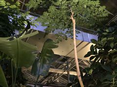 -汤山翠谷生态餐厅