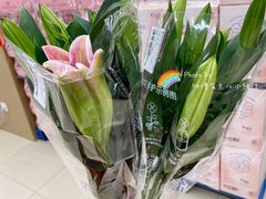 -盒马X会员店(上海森兰商都店)