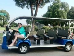 -荷塘月色湿地公园·向阳花洲