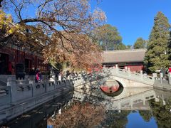 -香山公园