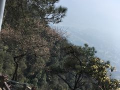 -缙云山景区