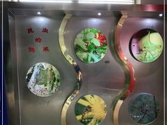 -上海昆虫博物馆