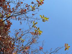 -长春净月潭风景名胜区