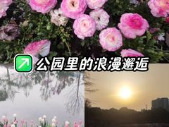 -圩墩遗址公园
