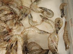 -火锅岛潮牌自助餐厅(天津天佑城店)