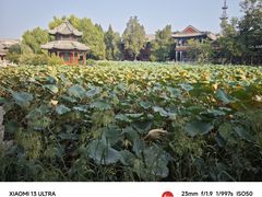 -莲池书院博物馆