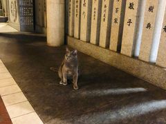 -Hōzen-ji Temple法善寺