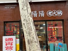 -阳阳老火锅(小南门店)