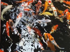 -侠成水上农庄(工业大道店)